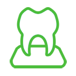 схематичное изображение зуба